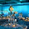 Custom floral design and lighting design perfected for Miami Wedding